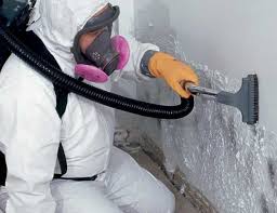 Mold Remediation for Vacation Homes in Encantada Ranchito El Calaboz, TX